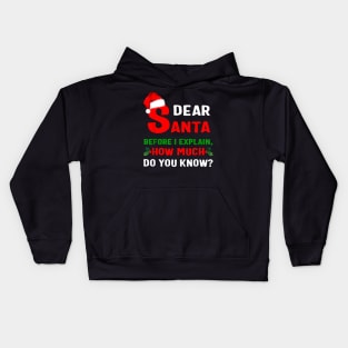 Funny Xmas Dear Santa Before I Explain How Much Do You Know Kids Hoodie